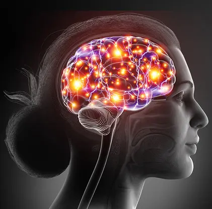 neuro thrive brain supplement